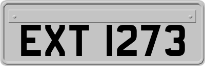 EXT1273