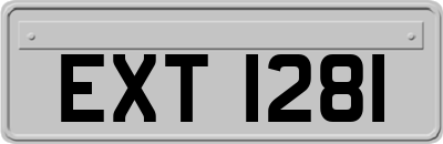 EXT1281