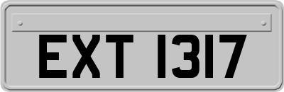 EXT1317