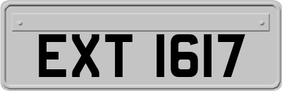 EXT1617
