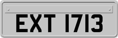 EXT1713