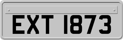 EXT1873