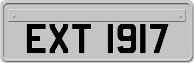 EXT1917