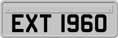 EXT1960