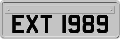EXT1989