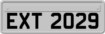 EXT2029