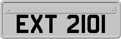 EXT2101