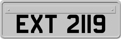 EXT2119