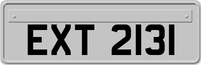 EXT2131