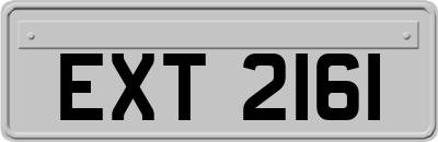 EXT2161