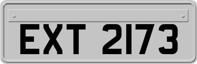 EXT2173