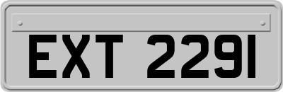 EXT2291