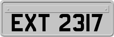EXT2317