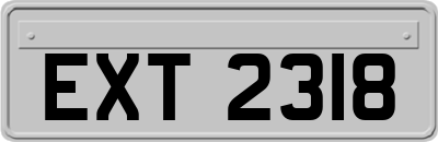 EXT2318