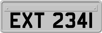 EXT2341