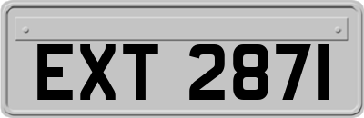 EXT2871