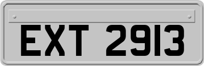 EXT2913