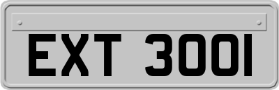 EXT3001