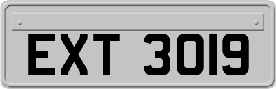 EXT3019