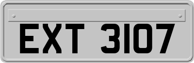 EXT3107