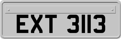 EXT3113
