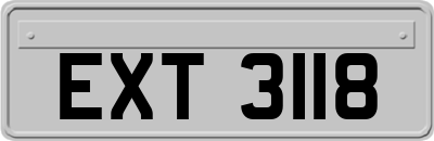 EXT3118