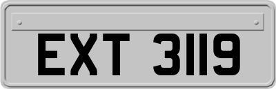 EXT3119