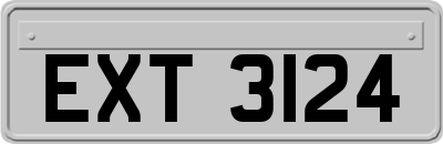 EXT3124
