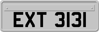 EXT3131
