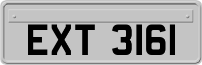 EXT3161
