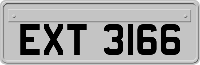 EXT3166