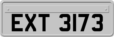 EXT3173