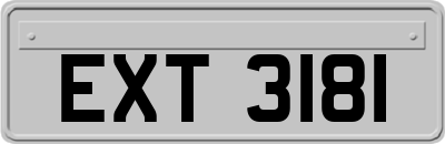 EXT3181