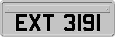 EXT3191