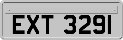 EXT3291