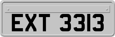 EXT3313