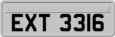 EXT3316