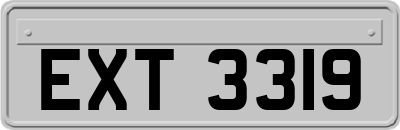 EXT3319