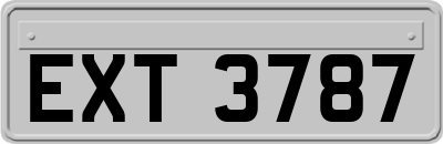 EXT3787