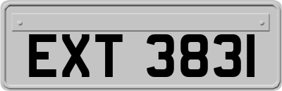EXT3831