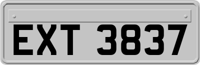 EXT3837