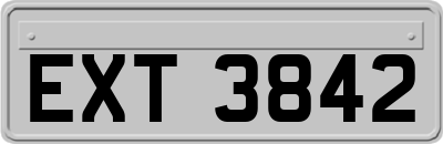 EXT3842