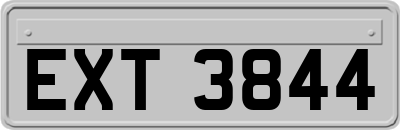EXT3844
