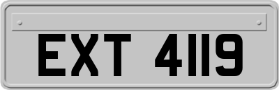 EXT4119