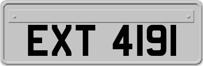 EXT4191