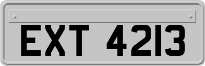EXT4213