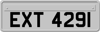 EXT4291