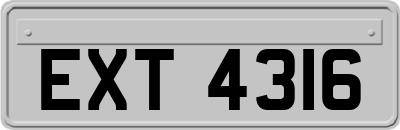 EXT4316
