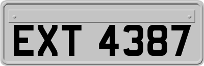 EXT4387