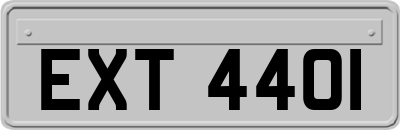 EXT4401